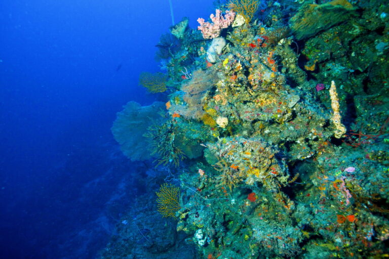 Amed Area Dive & Snorkel sites Amed Dive Center Bali Amed Dive