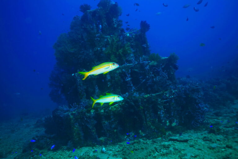 Amed Area Dive & Snorkel sites Amed Dive Center Bali Amed Dive