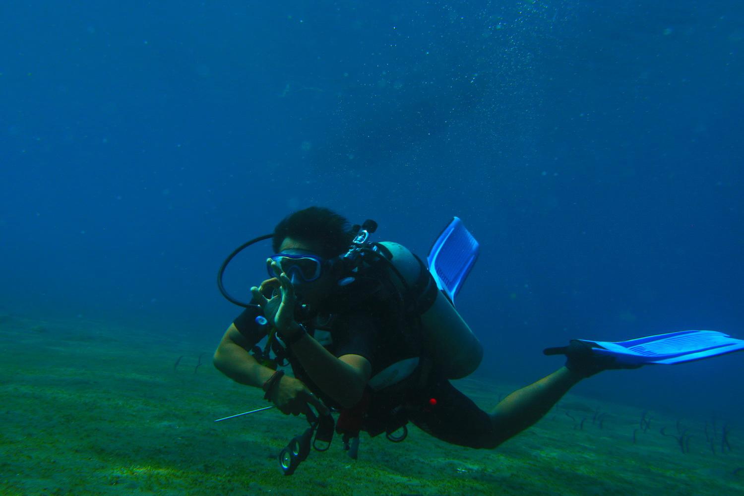 Tauchkurse Amed Dive Center Bali Amed Dive Center Bali Amed Dive