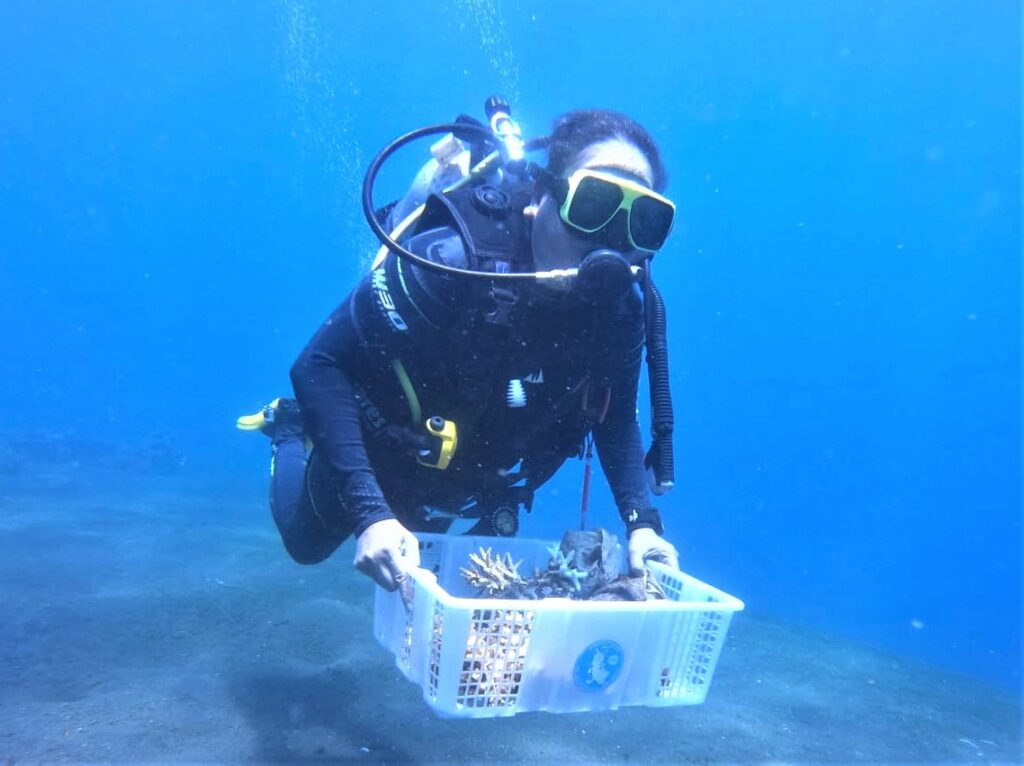 Taucherin sammelt Korallenstuecke fuer Eco Projekt 2021