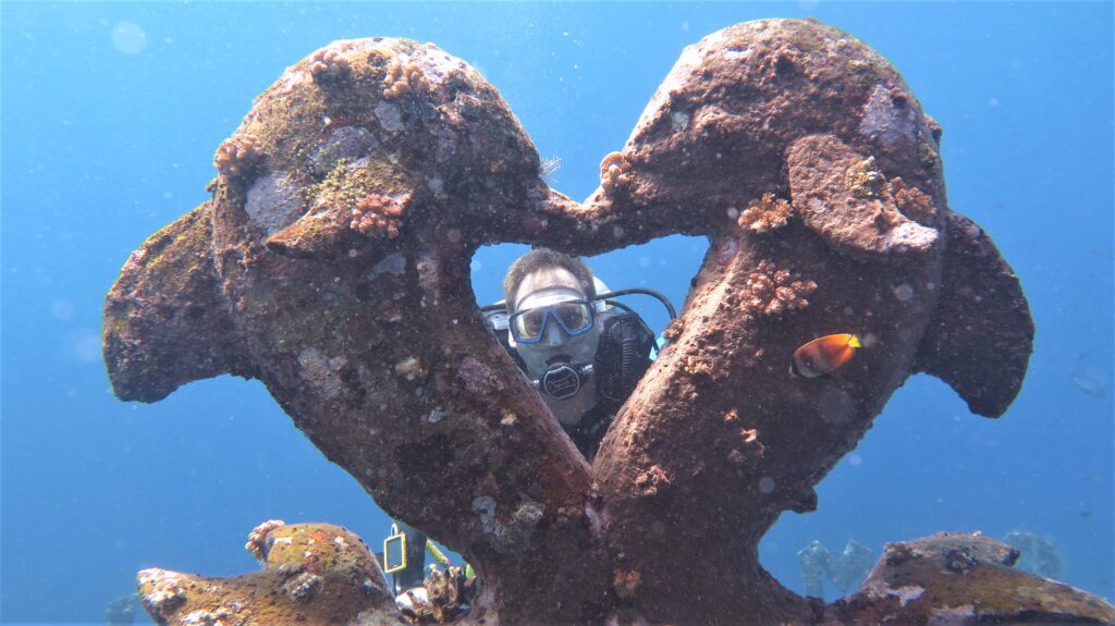 kissing-dolphins-with-diver-Marthin-at-Tulamben-coral-garden